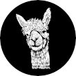 Alpacas of Fredly Logo